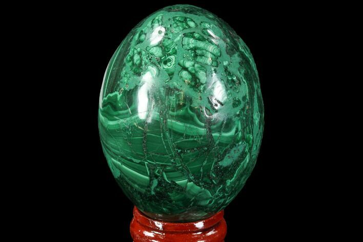 Stunning Polished Malachite Egg - Congo #89664
